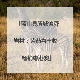 蓝山县所城镇舜岩村：紫茄喜丰收 畅销粤港澳