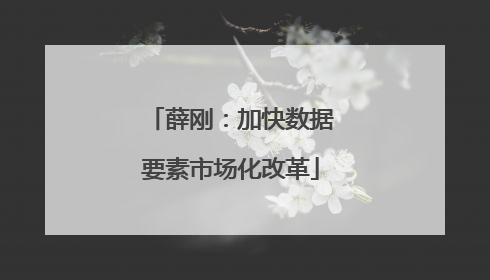 薛刚：加快数据要素市场化改革