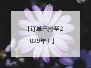 订单已排至2029年！