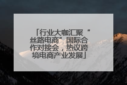 行业大咖汇聚“丝路电商”国际合作对接会，热议跨境电商产业发展
