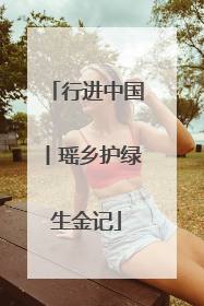 行进中国丨瑶乡护绿生金记