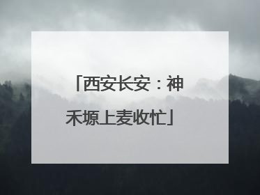 西安长安：神禾塬上麦收忙