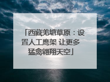 西藏羌塘草原：设置人工鹰架 让更多猛禽翱翔天空