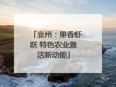 襄州：果香虾跃 特色农业激活新动能
