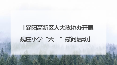 襄阳高新区人大政协办开展魏庄小学“六一”慰问活动