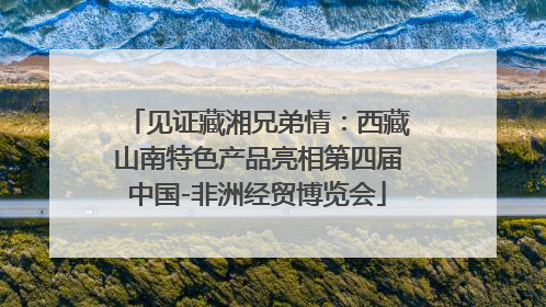 见证藏湘兄弟情：西藏山南特色产品亮相第四届中国-非洲经贸博览会