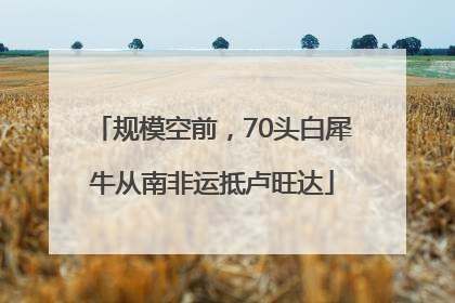 规模空前，70头白犀牛从南非运抵卢旺达