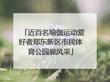 近百名瑜伽运动爱好者郑东新区市民体育公园展风采