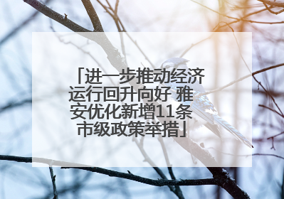 进一步推动经济运行回升向好 雅安优化新增11条市级政策举措