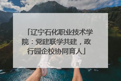 辽宁石化职业技术学院：党建联学共建，政行园企校协同育人