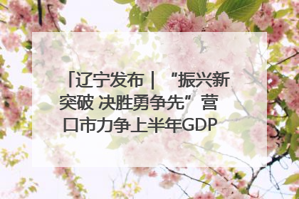 辽宁发布｜“振兴新突破 决胜勇争先”营口市力争上半年GDP增长6%左右