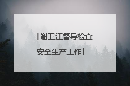 谢卫江督导检查安全生产工作