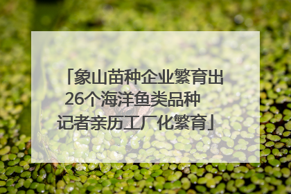 象山苗种企业繁育出26个海洋鱼类品种 记者亲历工厂化繁育