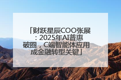 财跃星辰COO张展：2025年AI普惠破圈，C端智能体应用成金融转型关键