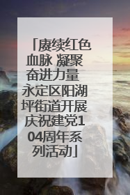 赓续红色血脉 凝聚奋进力量 永定区阳湖坪街道开展庆祝建党104周年系列活动