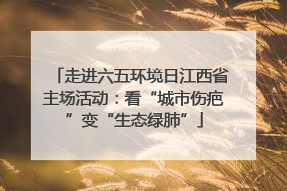 走进六五环境日江西省主场活动：看“城市伤疤”变“生态绿肺”