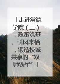 走进常德学院（三）：政策筑基、引凤来栖，锻造校城共享的“双师铁军”
