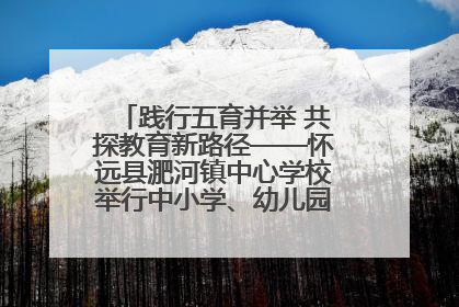 践行五育并举 共探教育新路径——怀远县淝河镇中心学校举行中小学、幼儿园班主任论坛活动