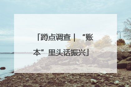 蹲点调查｜“账本”里头话振兴