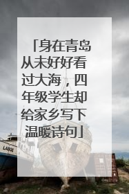 身在青岛从未好好看过大海，四年级学生却给家乡写下温暖诗句