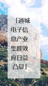 通城电子信息产业集群效应日益凸显