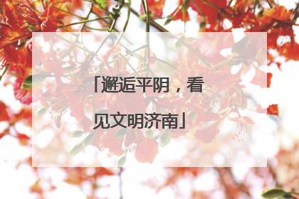 邂逅平阴，看见文明济南