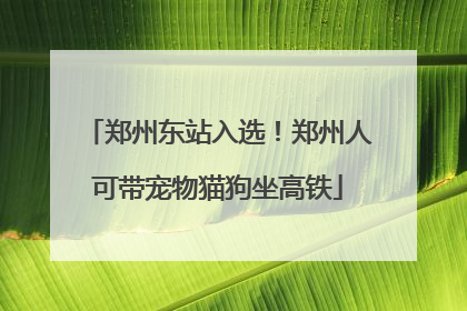 郑州东站入选！郑州人可带宠物猫狗坐高铁