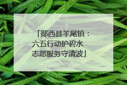 郧西县羊尾镇：六五行动护碧水 志愿服务守清波