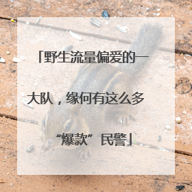 野生流量偏爱的一大队，缘何有这么多“爆款”民警