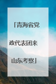 青海省党政代表团来山东考察