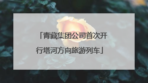 青藏集团公司首次开行塔河方向旅游列车