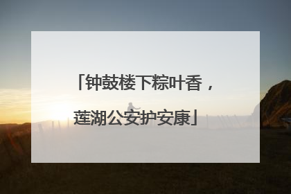 钟鼓楼下粽叶香，莲湖公安护安康