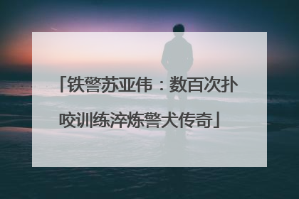 铁警苏亚伟：数百次扑咬训练淬炼警犬传奇
