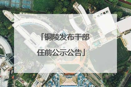 铜陵发布干部任前公示公告