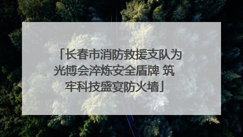 长春市消防救援支队为光博会淬炼安全盾牌 筑牢科技盛宴防火墙