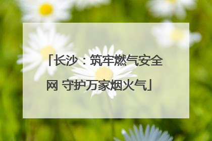 长沙：筑牢燃气安全网 守护万家烟火气
