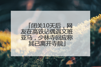 闭关10天后，网友在高铁站偶遇文班亚马，少林寺回应称其已离开寺院