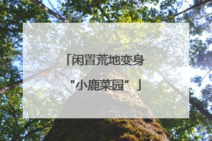闲置荒地变身“小鹿菜园”