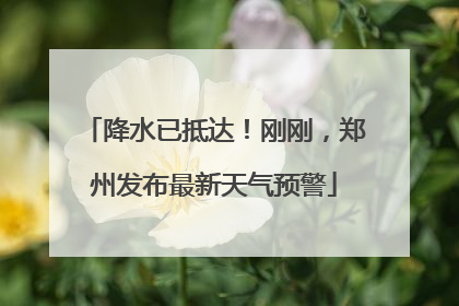降水已抵达！刚刚，郑州发布最新天气预警