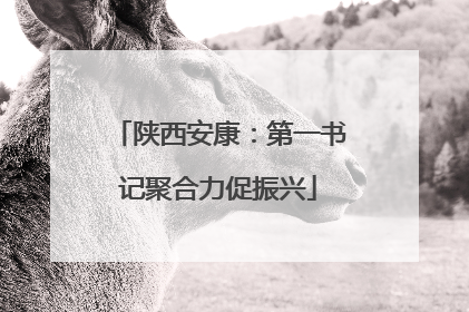 陕西安康：第一书记聚合力促振兴