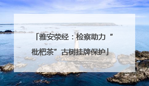 雅安荥经：检察助力“枇杷茶”古树挂牌保护