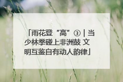 雨花登“高”③｜当少林拳碰上非洲鼓 文明互鉴自有动人韵律