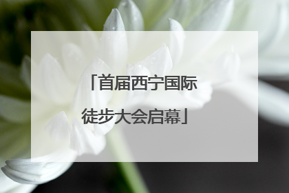 首届西宁国际徒步大会启幕
