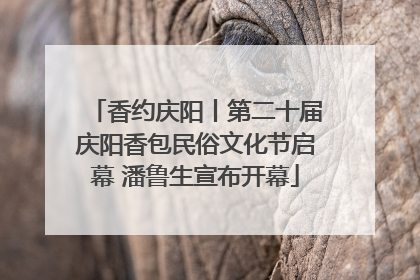 香约庆阳丨第二十届庆阳香包民俗文化节启幕 潘鲁生宣布开幕
