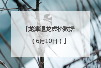龙津退龙虎榜数据（6月10日）