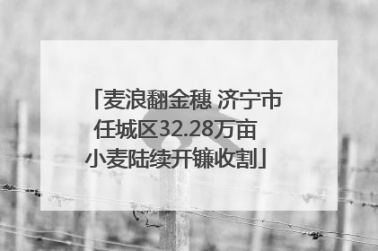麦浪翻金穗 济宁市任城区32.28万亩小麦陆续开镰收割
