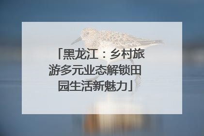 黑龙江：乡村旅游多元业态解锁田园生活新魅力