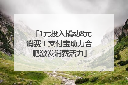 1元投入撬动8元消费！支付宝助力合肥激发消费活力