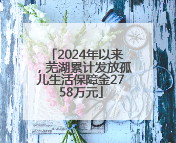 2024年以来，芜湖累计发放孤儿生活保障金2758万元