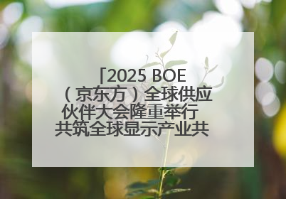 2025 BOE（京东方）全球供应伙伴大会隆重举行 共筑全球显示产业共生共赢新格局